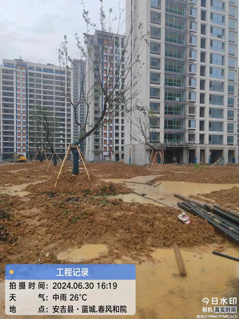 风雨无阻，绿意不止 记小区园林绿化工程的坚守与担当