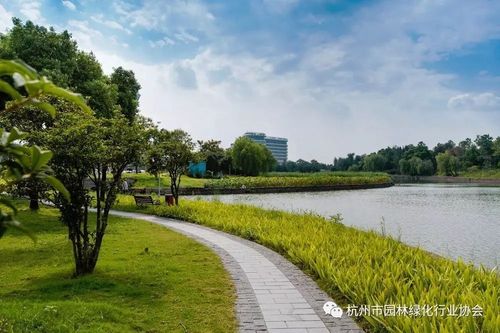 匠心筑绿脉 畅行绘杭城——2016年度杭州市优秀园林绿化工程道路组金奖工程纪实