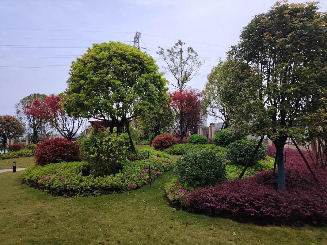 锦源水厂绿化一周年 园林景观工程的实景答卷